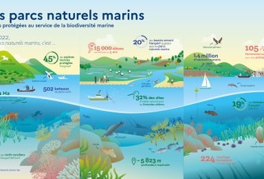 Les parcs naturels marin en chiffres clés
