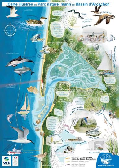 Carte illustrée du Parc naturel marin